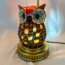 Load image into Gallery viewer, Custom Up-Cycled Owl Lamp
