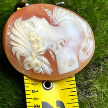 Load image into Gallery viewer, Cameo, Abalone, Hand Carved, 1800&#39;s Roman Nose
