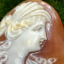 Load image into Gallery viewer, Cameo, Abalone, Hand Carved, 1800&#39;s Roman Nose
