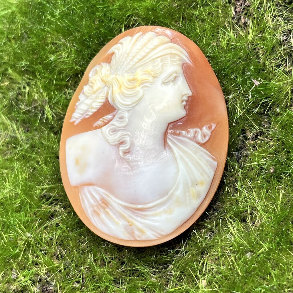 Cameo, Abalone, Hand Carved, 1800's Roman Nose