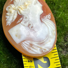 Load image into Gallery viewer, Cameo, Abalone, Hand Carved, 1800&#39;s Roman Nose
