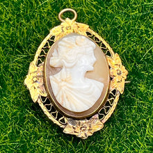 Load image into Gallery viewer, Pendant, Brooch, 14K Yellow Gold, Vintage to Antique Abalone Cameo
