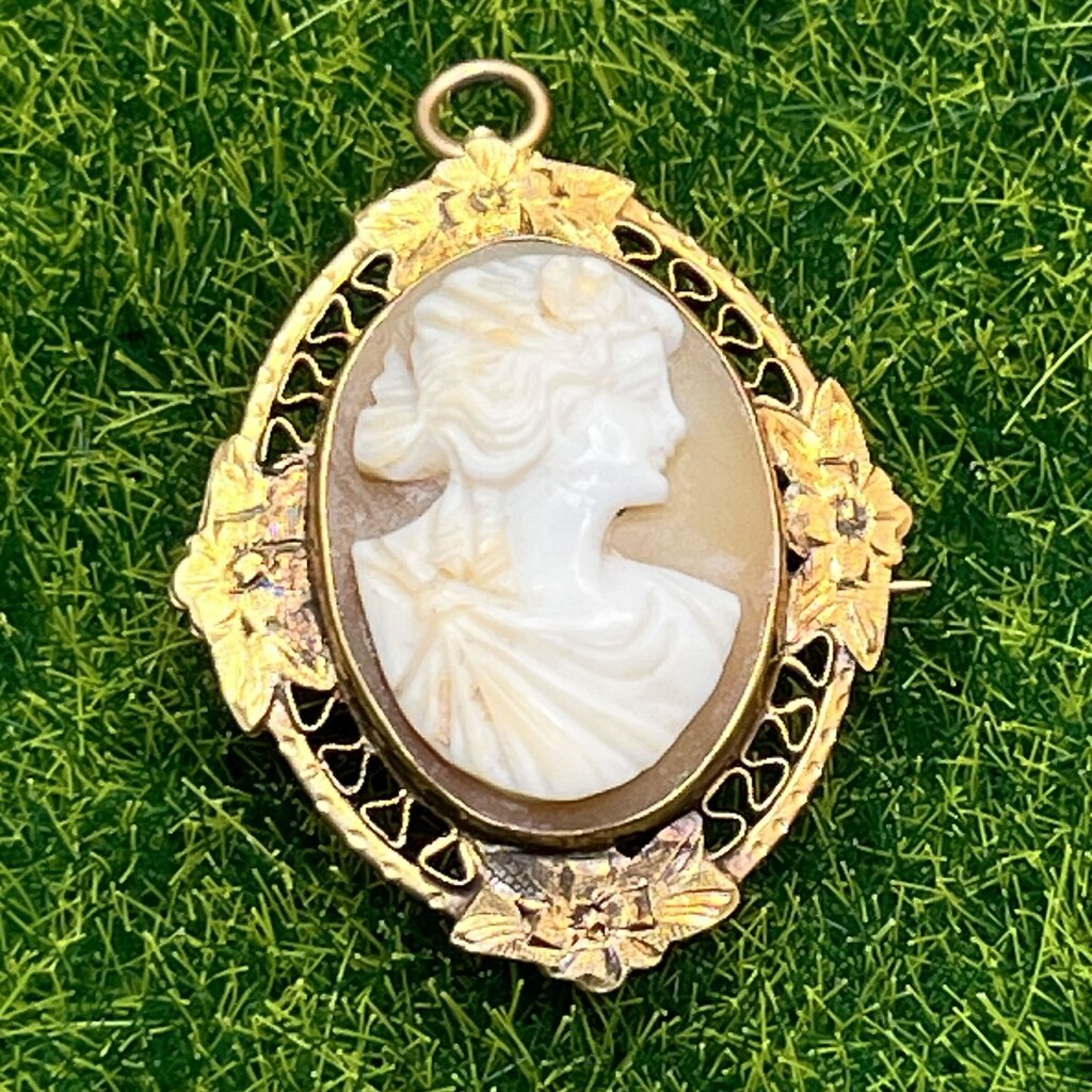 Pendant, Brooch, 14K Yellow Gold, Vintage to Antique Abalone Cameo