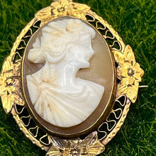 Load image into Gallery viewer, Pendant, Brooch, 14K Yellow Gold, Vintage to Antique Abalone Cameo
