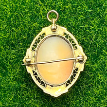 Load image into Gallery viewer, Pendant, Brooch, 14K Yellow Gold, Vintage to Antique Abalone Cameo
