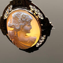 Load image into Gallery viewer, Pendant, Brooch, 14K Yellow Gold, Vintage to Antique Abalone Cameo
