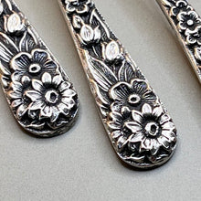 Load image into Gallery viewer, Spoon, Salt, Sterling Silver, S. Kirk &amp; Son, Dark and Shiny

