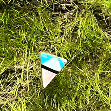 Load image into Gallery viewer, Earrings, Sterling Silver, Turquoise/Mother of Pearl, Native American, Angie Rosetta
