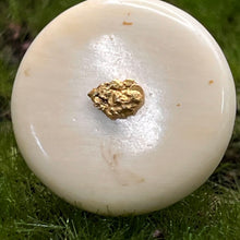 Load image into Gallery viewer, Cufflinks, Fossilized Bone with Gold Nuggets, 1970s Alaska
