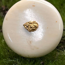 Load image into Gallery viewer, Cufflinks, Fossilized Bone with Gold Nuggets, 1970s Alaska

