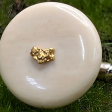 Load image into Gallery viewer, Cufflinks, Fossilized Bone with Gold Nuggets, 1970s Alaska
