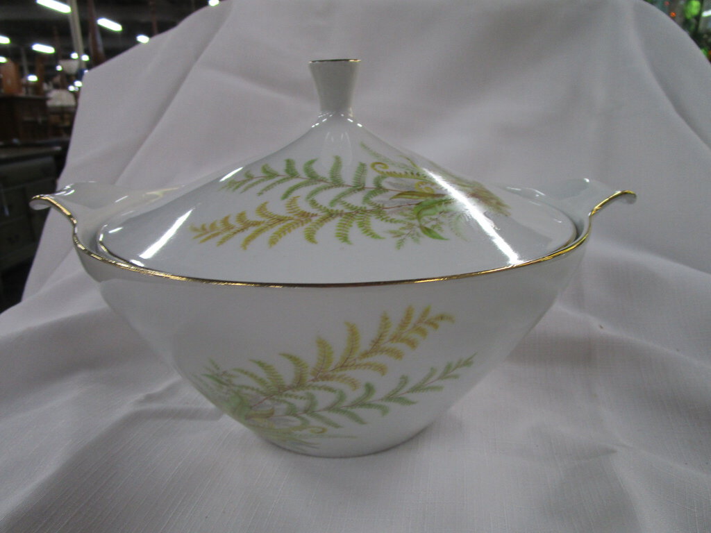 Vintage Plankenhammer Floss Bavaria Fern Tureen Serving Dish