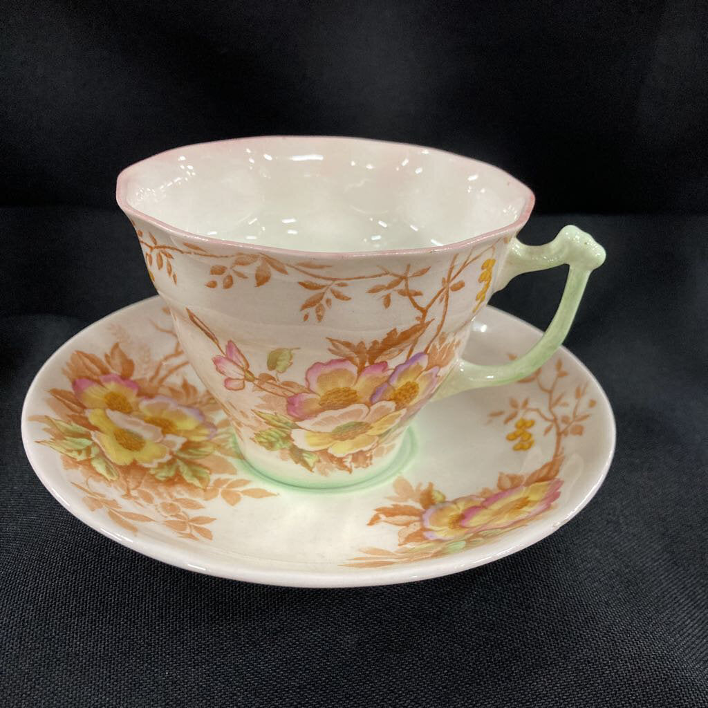 Old Royal Teacup and Saucer with Wild Roses and Green Tint